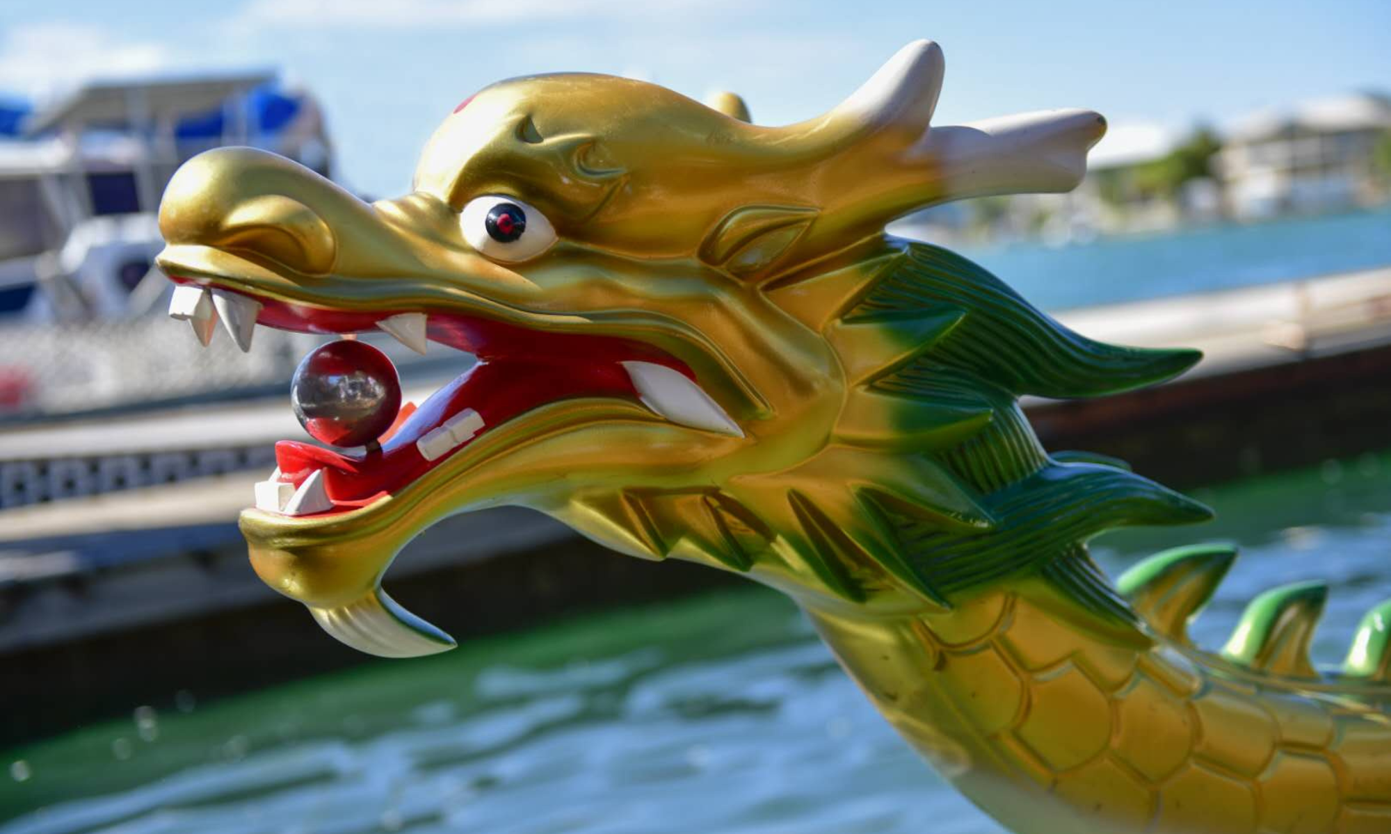 Darwin International Dragon Boat Festival 2023 City of Darwin